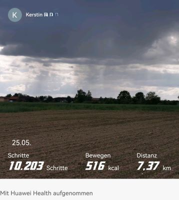 Schritte heute.jpg