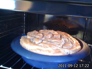 IMG322.jpg