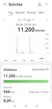 gestrige Schrittzahl.jpg