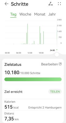 Schritte heute.jpg