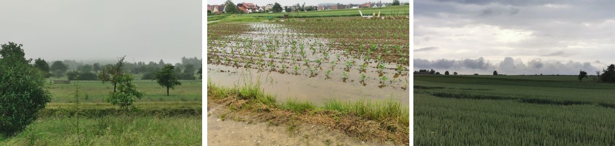 Wetter heute.jpg