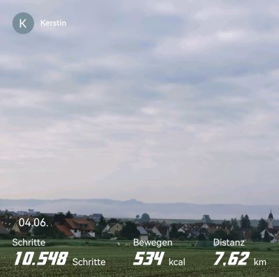Schritte heute.jpg