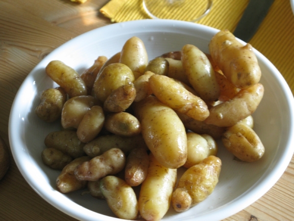 Bamberger Hörnchen.jpg